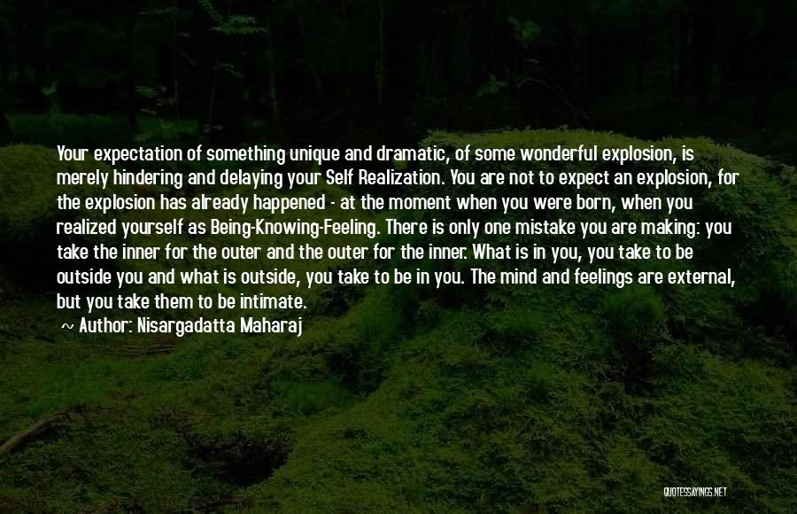 Self Expectation Quotes By Nisargadatta Maharaj