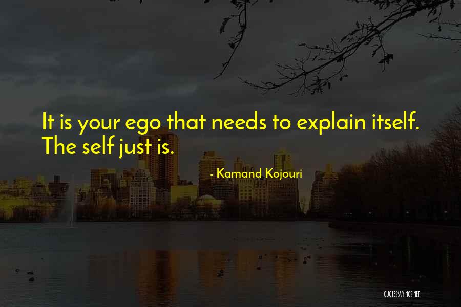 Self Explain Quotes By Kamand Kojouri