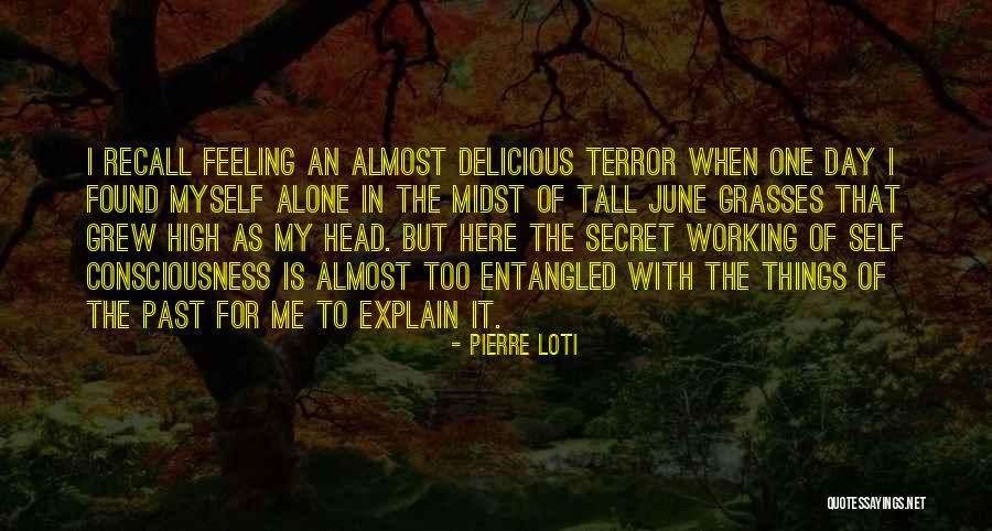 Self Explain Quotes By Pierre Loti Self Explain Quotes By Pierre Loti