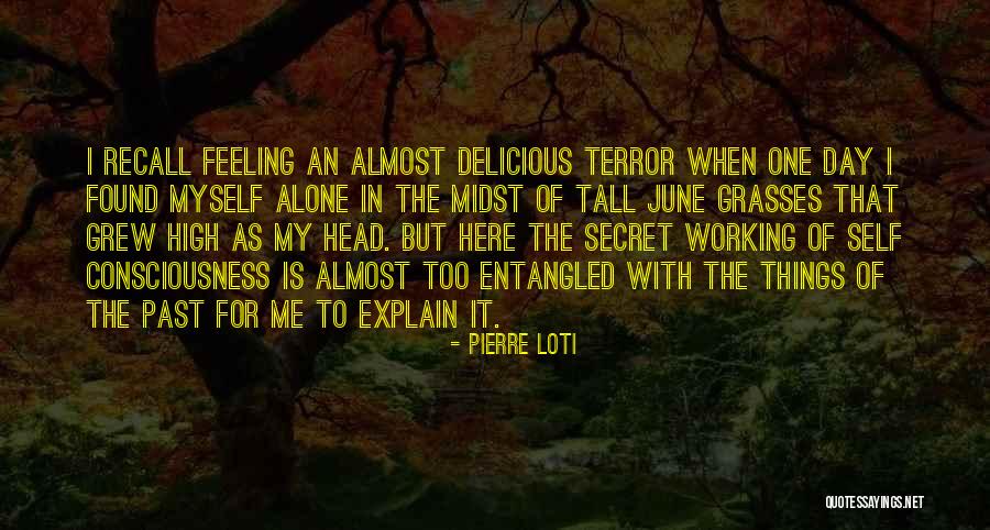 Self Explain Quotes By Pierre Loti