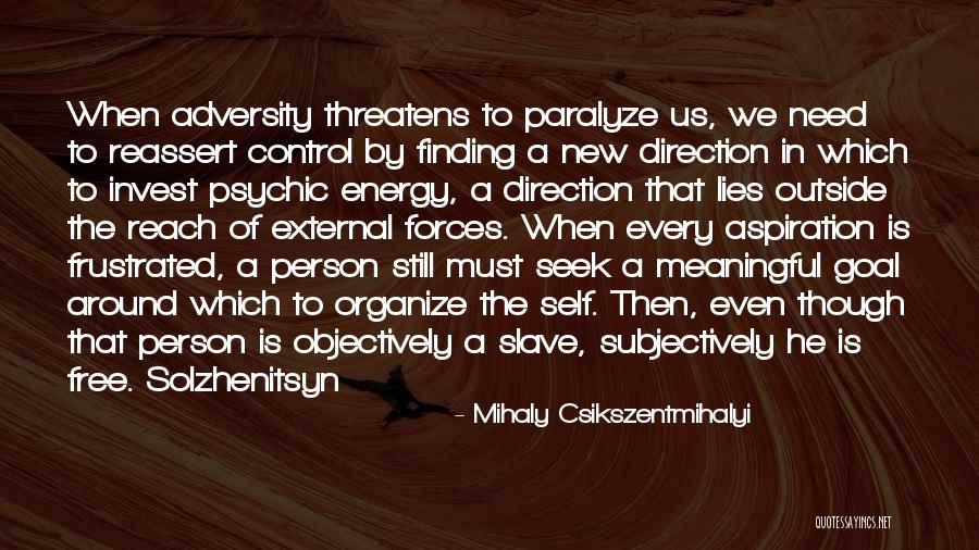 Self Finding Quotes By Mihaly Csikszentmihalyi Self Finding Quotes By Mihaly Csikszentmihalyi