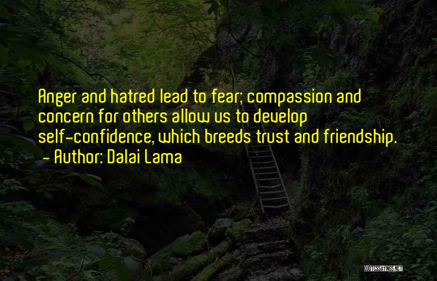 Self Friendship Quotes By Dalai Lama