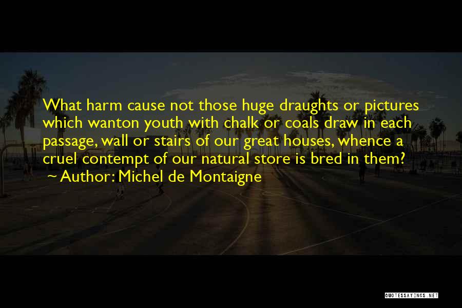 Self Harm Pictures Quotes By Michel De Montaigne