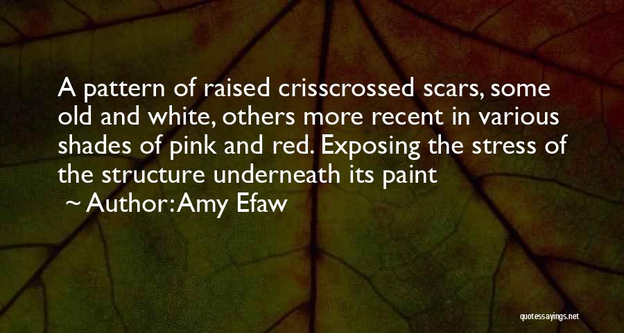 Self Harm Scars Quotes By Amy Efaw