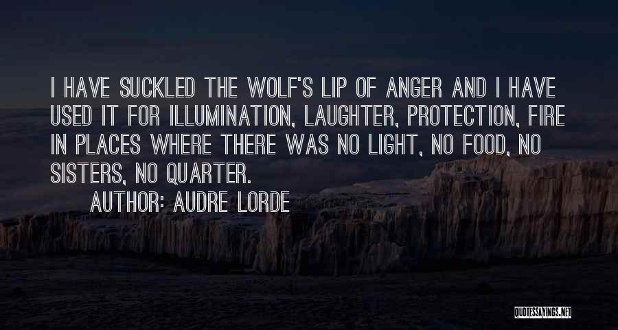 Self Illumination Quotes By Audre Lorde