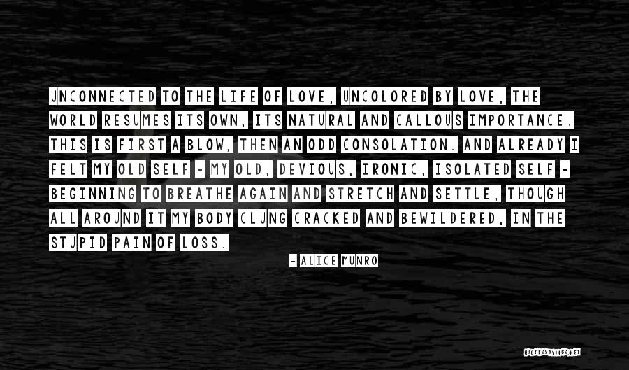 Self Importance Quotes By Alice Munro Self Importance Quotes By Alice Munro