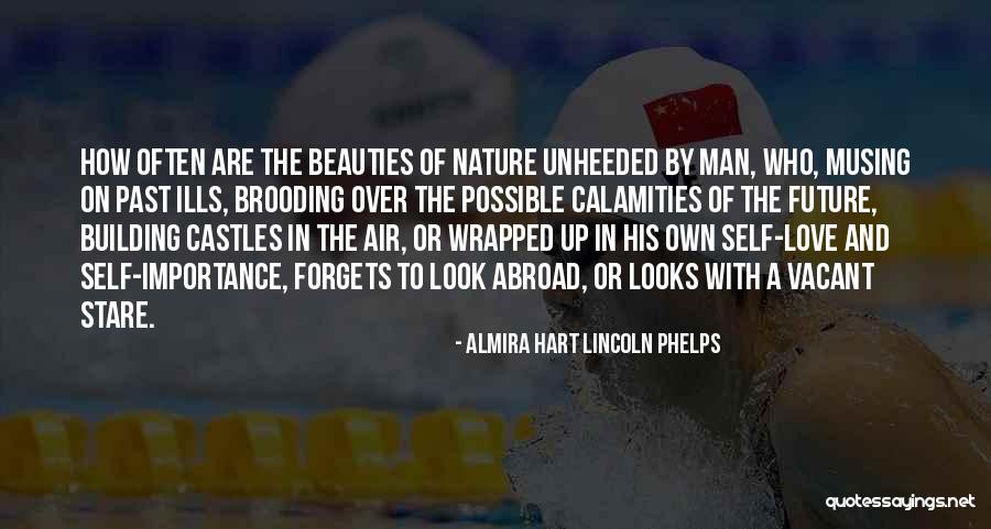 Self Importance Quotes By Almira Hart Lincoln Phelps