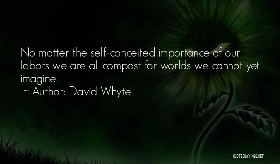 Self Importance Quotes By David Whyte