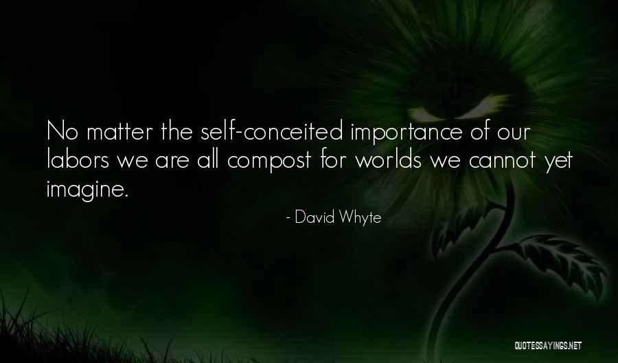 Self Importance Quotes By David Whyte