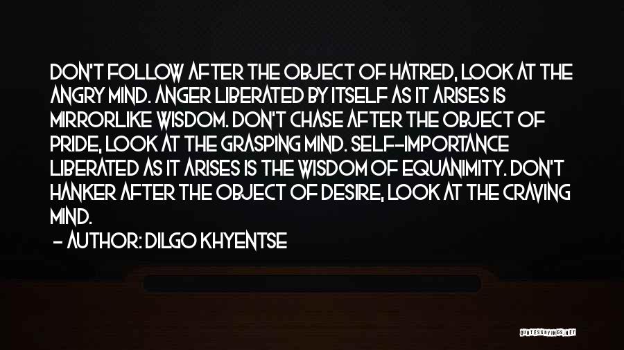 Self Importance Quotes By Dilgo Khyentse