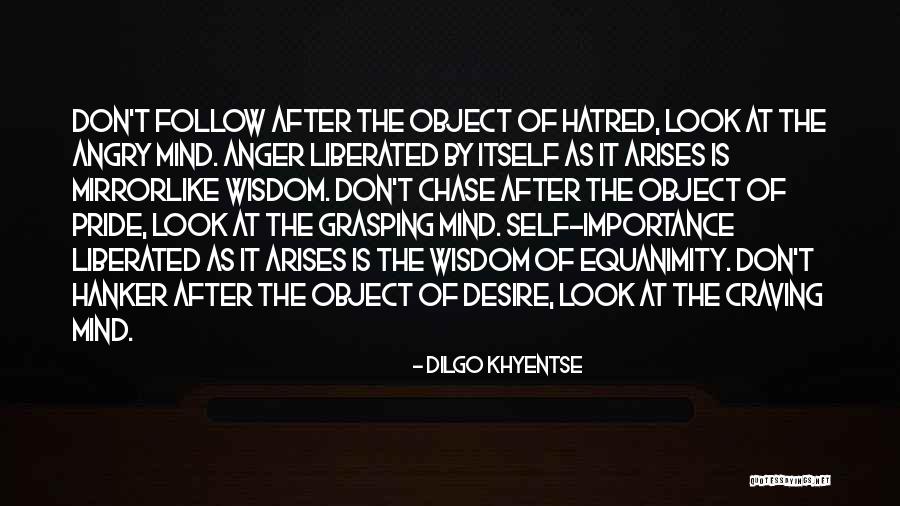 Self Importance Quotes By Dilgo Khyentse Self Importance Quotes By Dilgo Khyentse