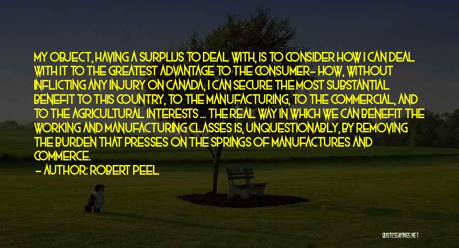 Self Inflicting Quotes By Robert Peel