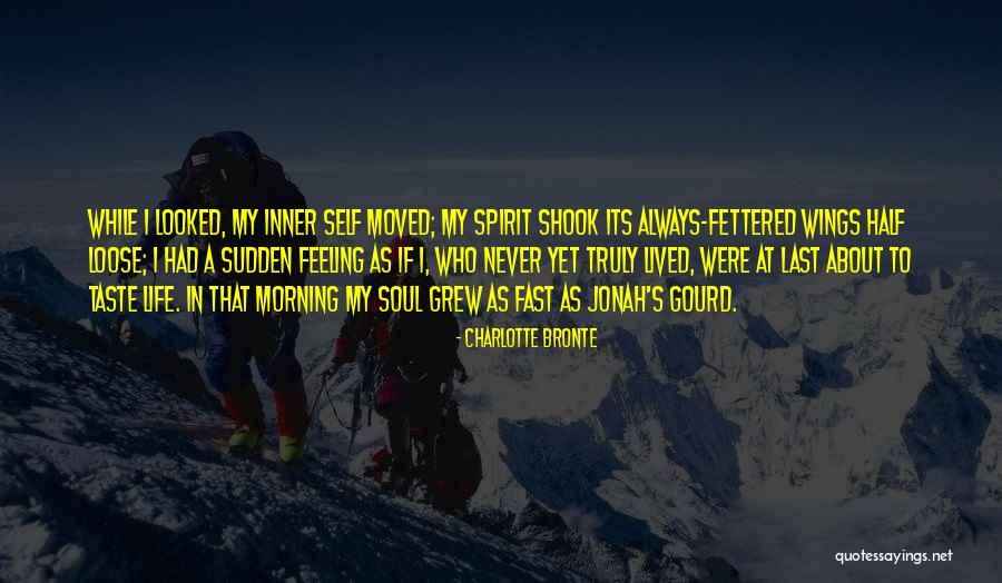 Self Inner Quotes By Charlotte Bronte Self Inner Quotes By Charlotte Bronte