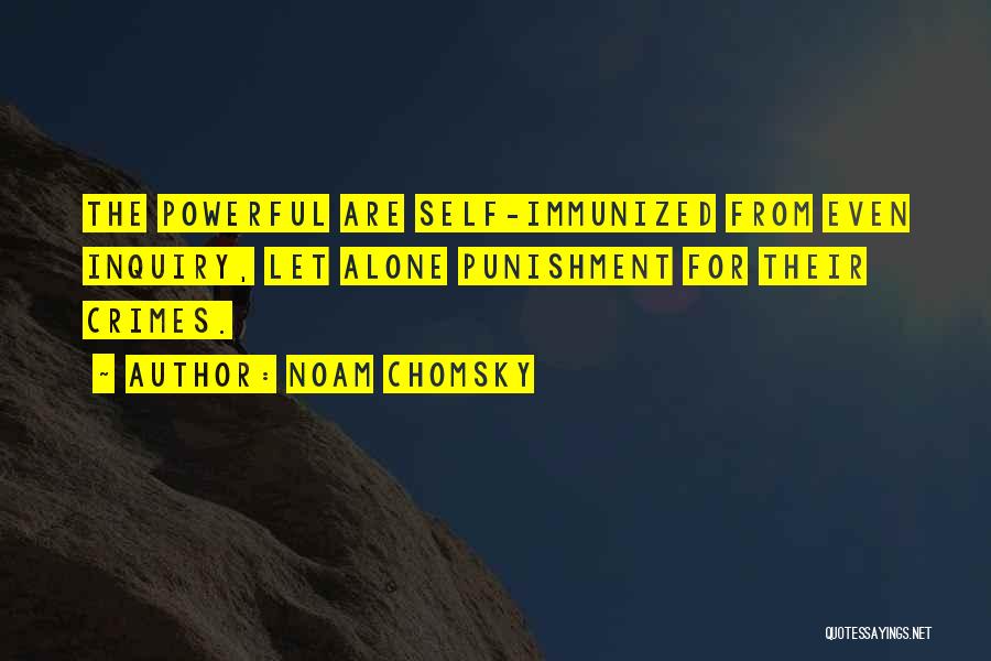 Self Inquiry Quotes By Noam Chomsky