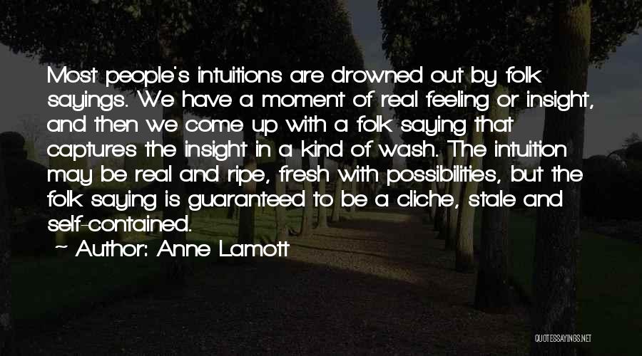 Self Insight Quotes By Anne Lamott