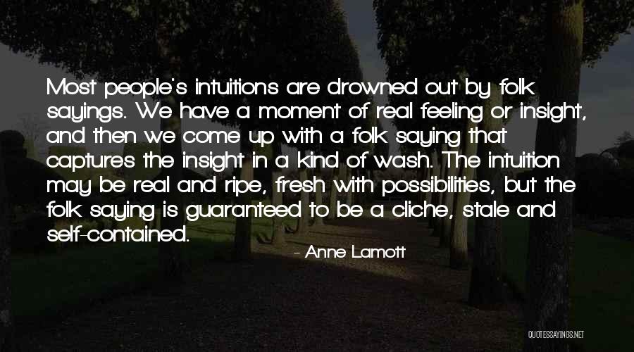 Self Insight Quotes By Anne Lamott