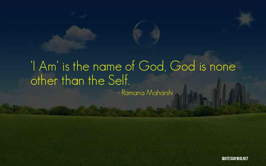 Self Insight Quotes By Ramana Maharshi Self Insight Quotes By Ramana Maharshi