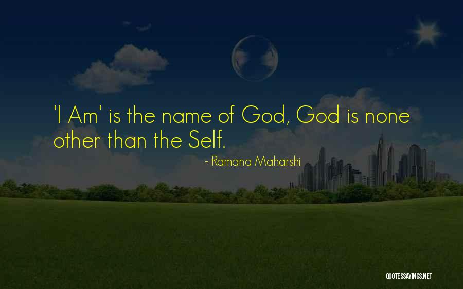 Self Insight Quotes By Ramana Maharshi