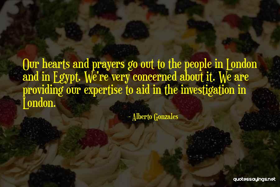 Self Investigation Quotes By Alberto Gonzales Self Investigation Quotes By Alberto Gonzales