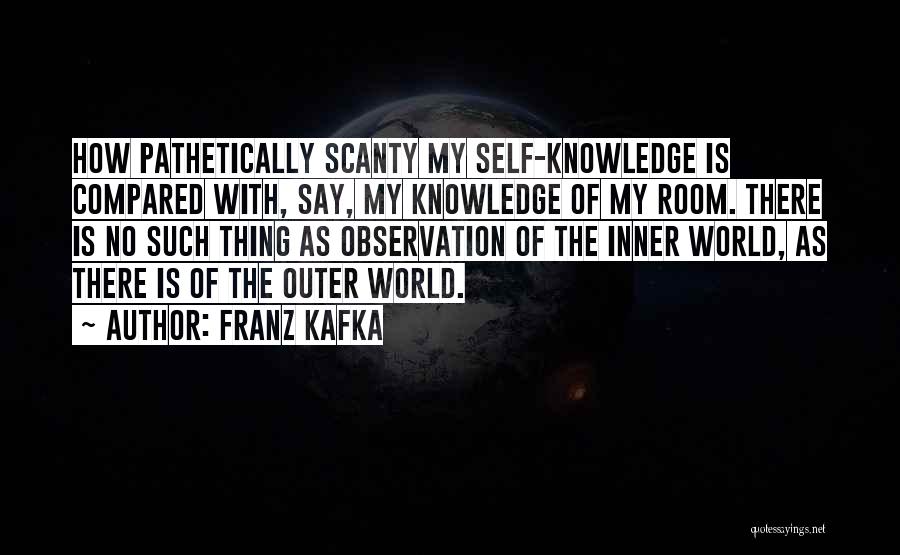 Self Knowledge Quotes By Franz Kafka