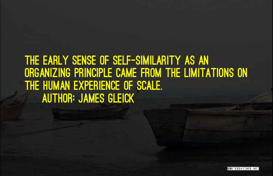Self Limitations Quotes By James Gleick
