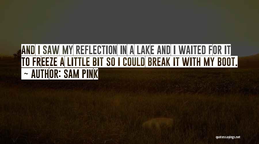 Self Loathing Quotes By Sam Pink