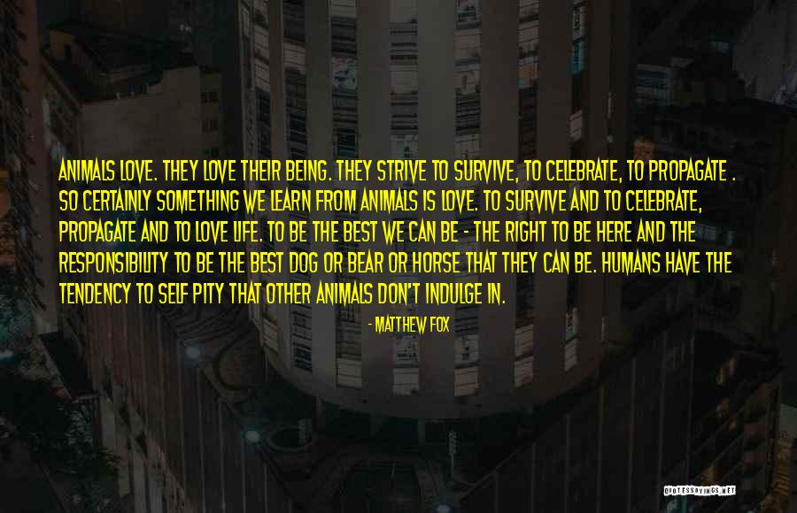 Self Love The Best Love Quotes By Matthew Fox Self Love The Best Love Quotes By Matthew Fox