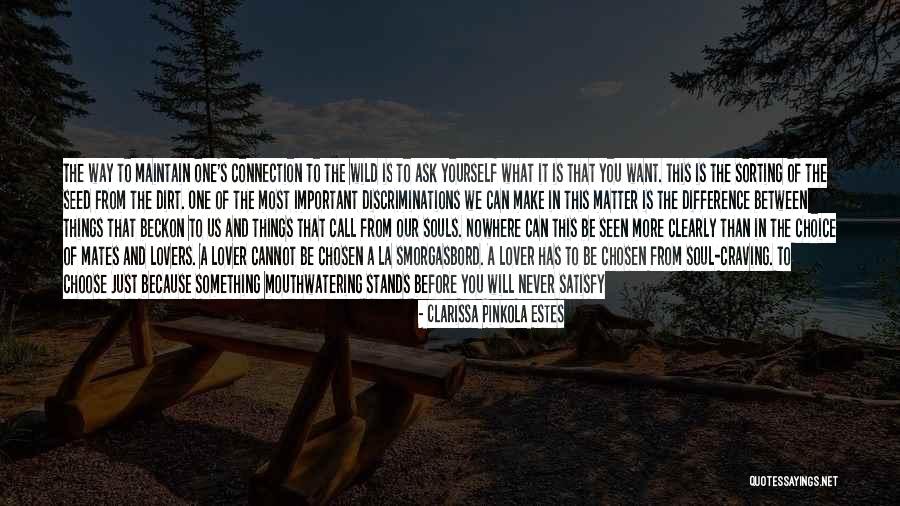Self Lovers Quotes By Clarissa Pinkola Estes Self Lovers Quotes By Clarissa Pinkola Estes