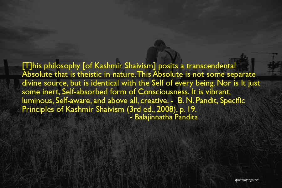 Self Luminous Quotes By Balajinnatha Pandita