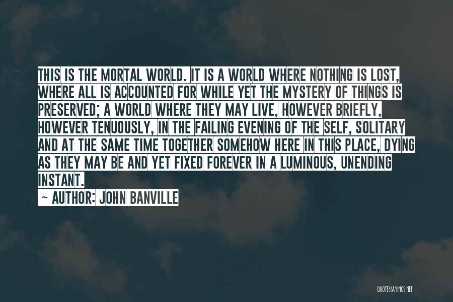 Self Luminous Quotes By John Banville