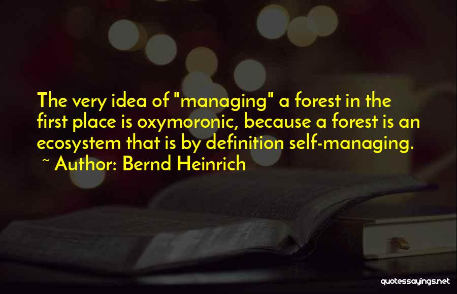 Self Managing Quotes By Bernd Heinrich