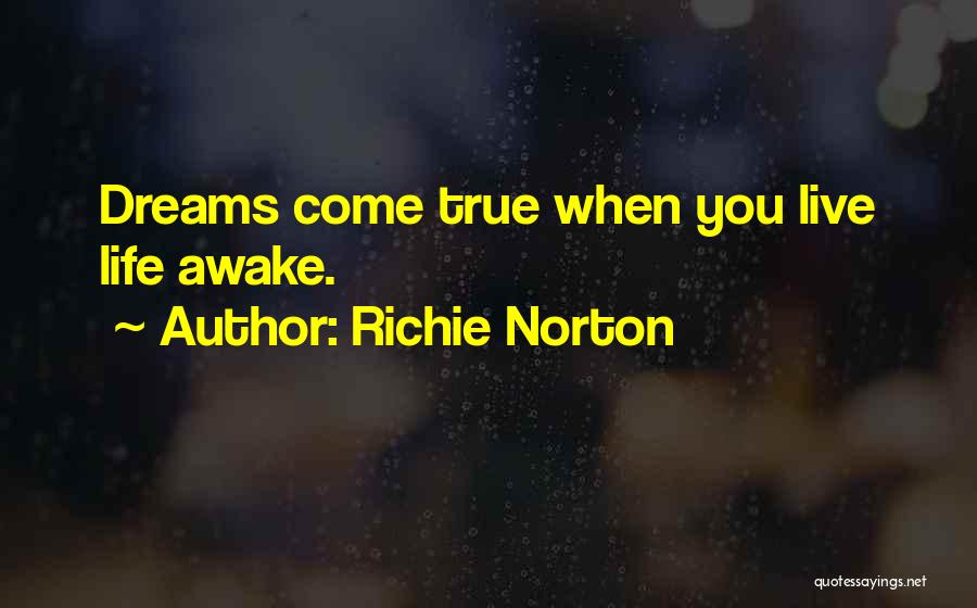 Self Marketing Quotes By Richie Norton