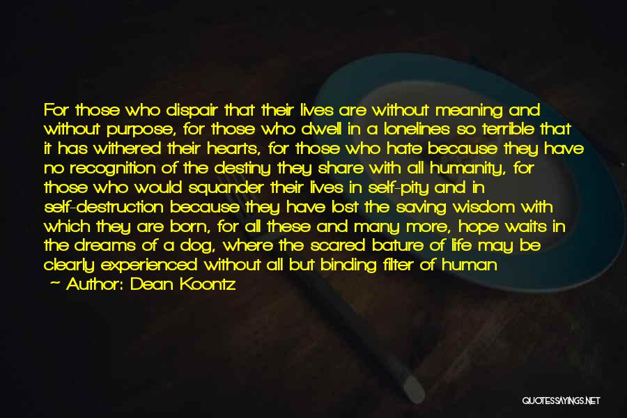 Self Meaning Quotes By Dean Koontz