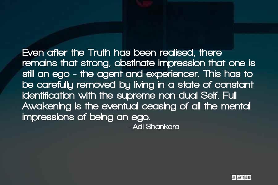 Self Meditation Quotes By Adi Shankara Self Meditation Quotes By Adi Shankara