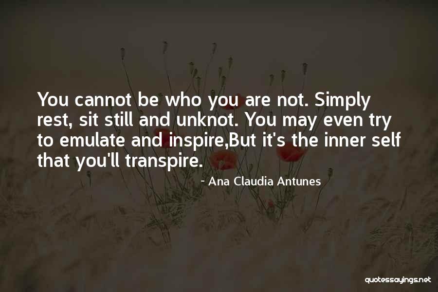 Self Meditation Quotes By Ana Claudia Antunes