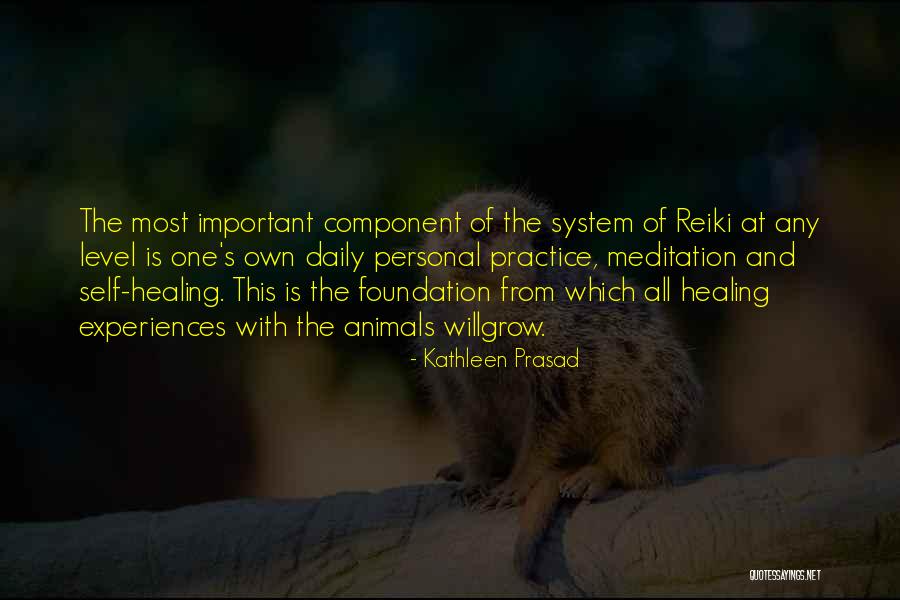 Self Meditation Quotes By Kathleen Prasad Self Meditation Quotes By Kathleen Prasad