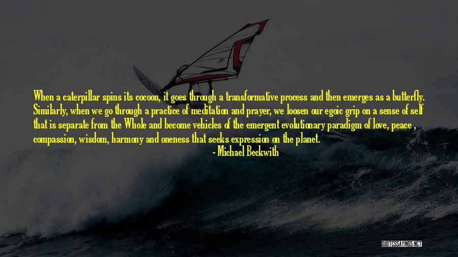 Self Meditation Quotes By Michael Beckwith