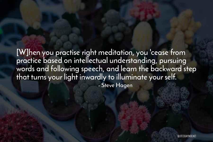 Self Meditation Quotes By Steve Hagen