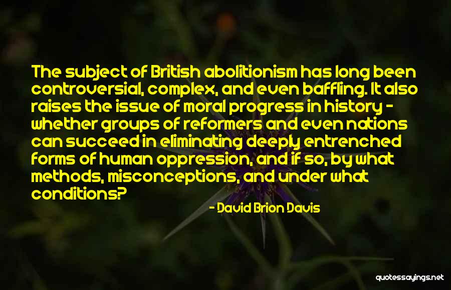 Self Misconceptions Quotes By David Brion Davis Self Misconceptions Quotes By David Brion Davis