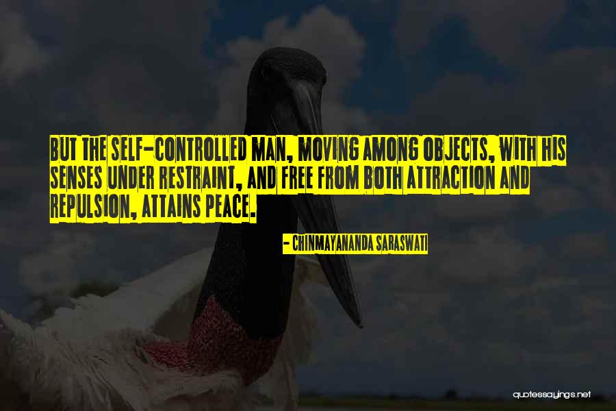 Self Objects Quotes By Chinmayananda Saraswati Self Objects Quotes By Chinmayananda Saraswati