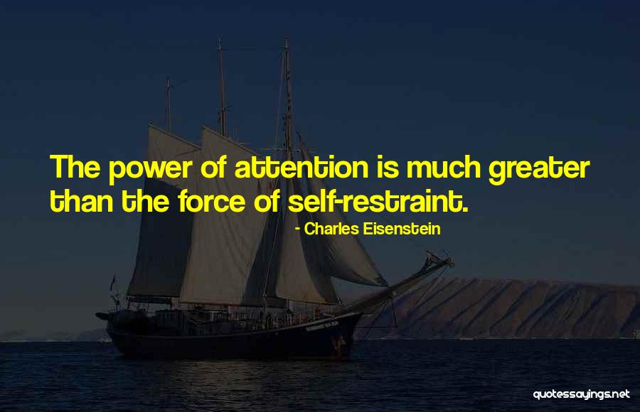 Self Observation Quotes By Charles Eisenstein