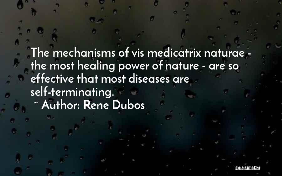 Self Power Quotes By Rene Dubos