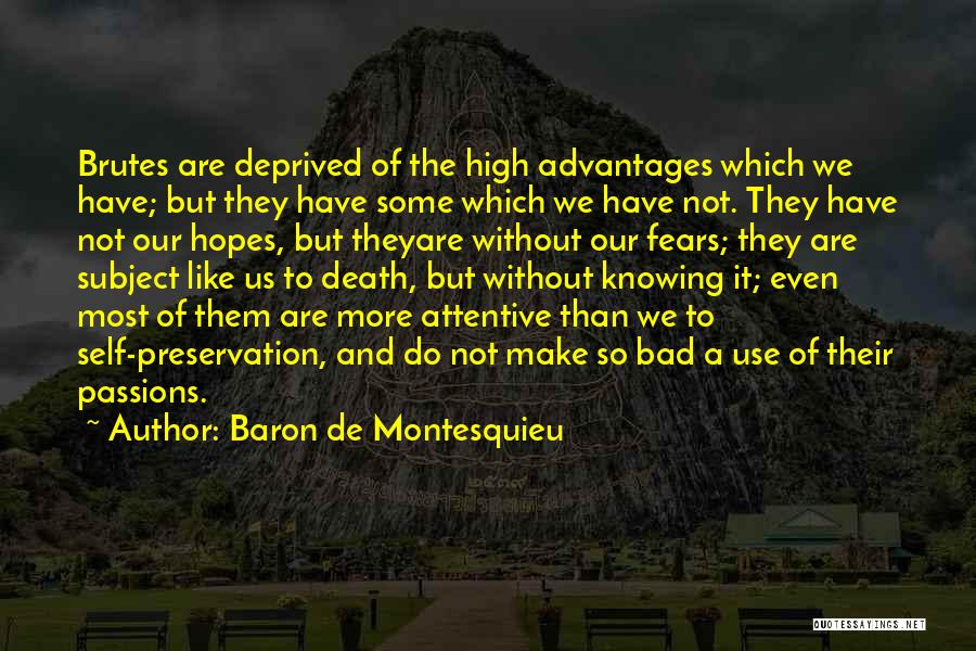 Self Preservation Quotes By Baron De Montesquieu