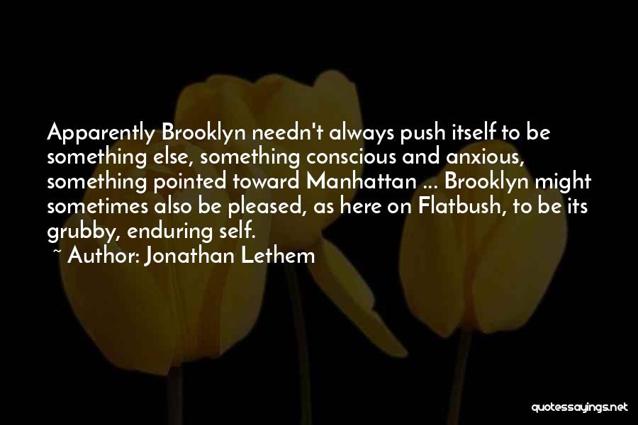 Self Push Quotes By Jonathan Lethem