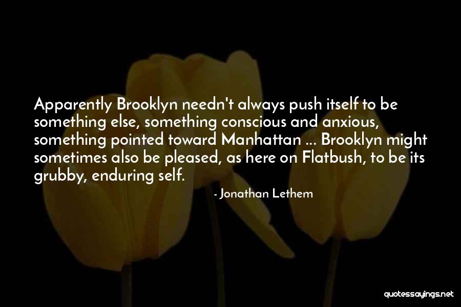 Self Push Quotes By Jonathan Lethem