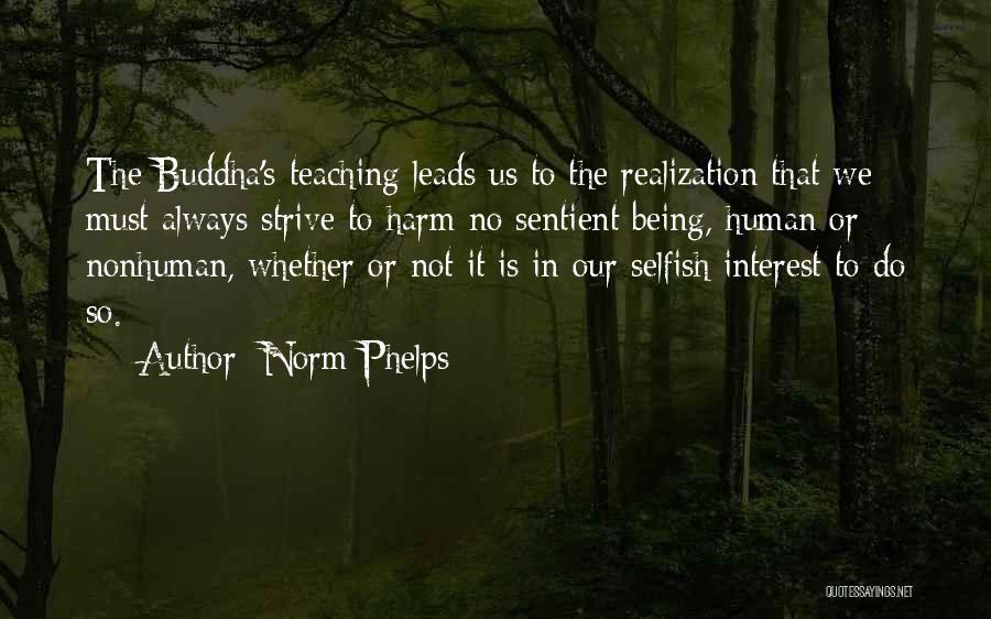 Self Realization Buddha Quotes By Norm Phelps