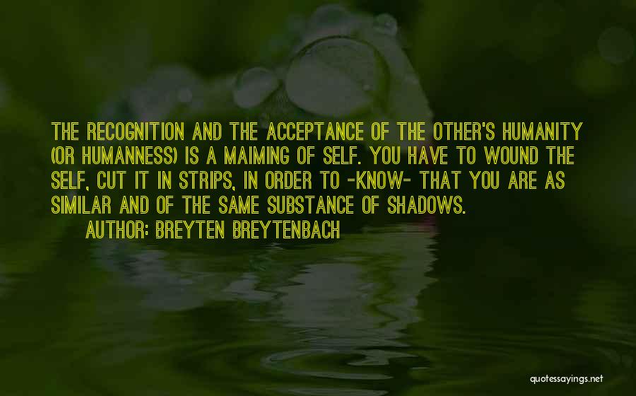 Self Recognition Quotes By Breyten Breytenbach