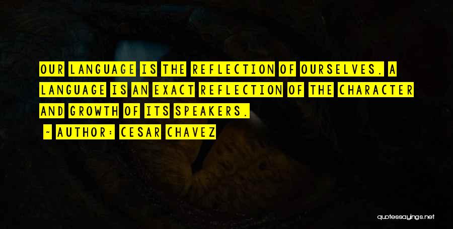 Self Reflection And Growth Quotes By Cesar Chavez