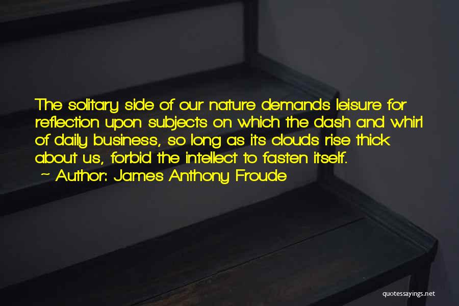 Self Reflection Business Quotes By James Anthony Froude