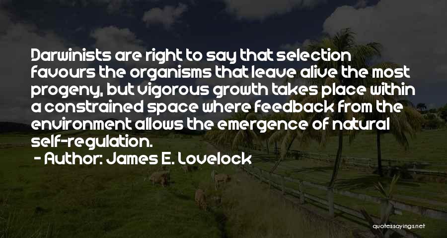 Self Regulation Quotes By James E. Lovelock